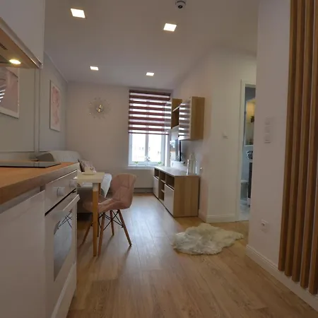 Premium Srodmiescie Apartment